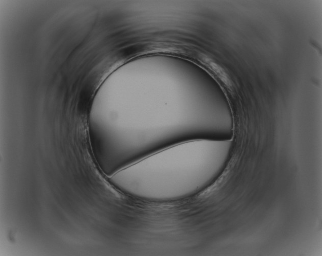 X0000093461377200710120941
