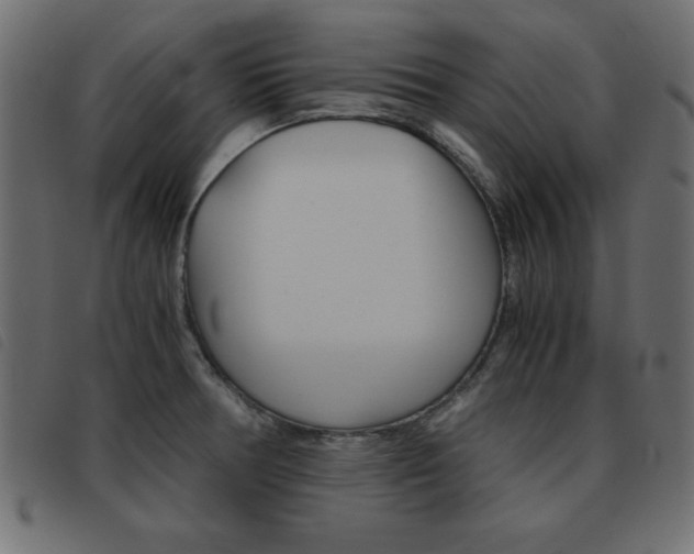 X0000093461378200710120941