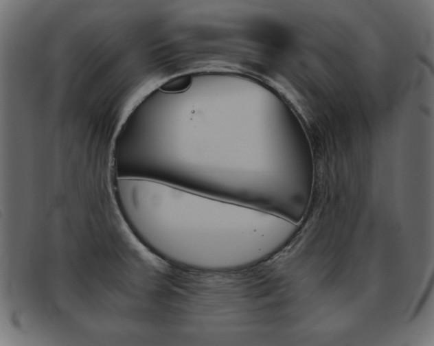 X0000093461379200710120941