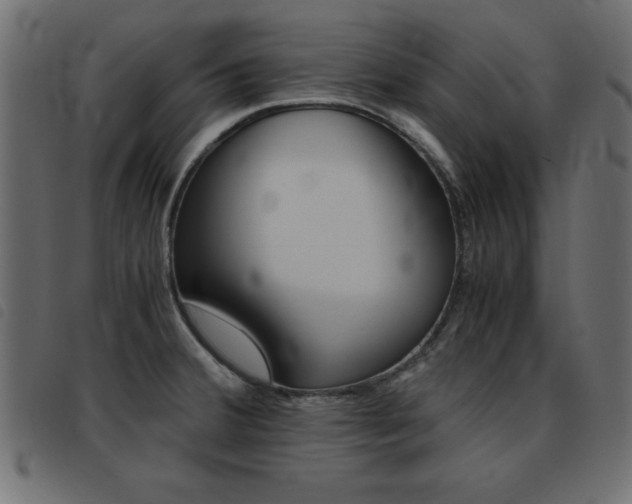 X0000093461380200710120941