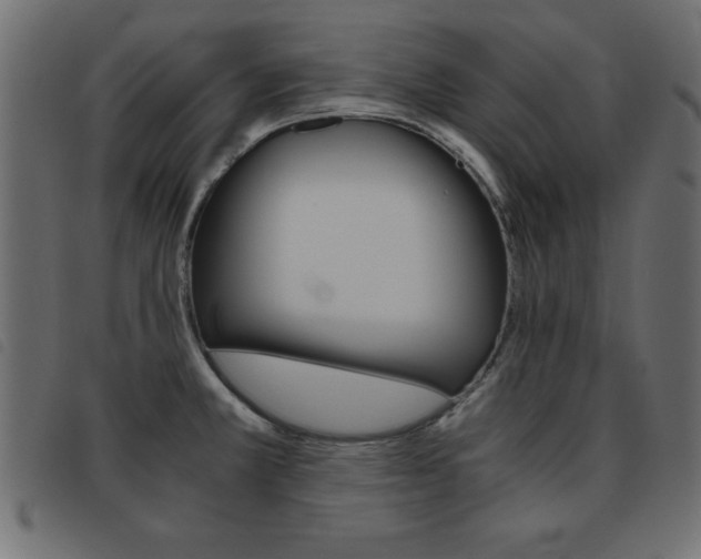 X0000093461381200710120941