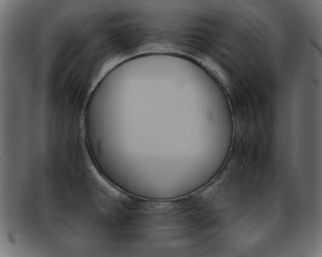 X0000093461382200710120941