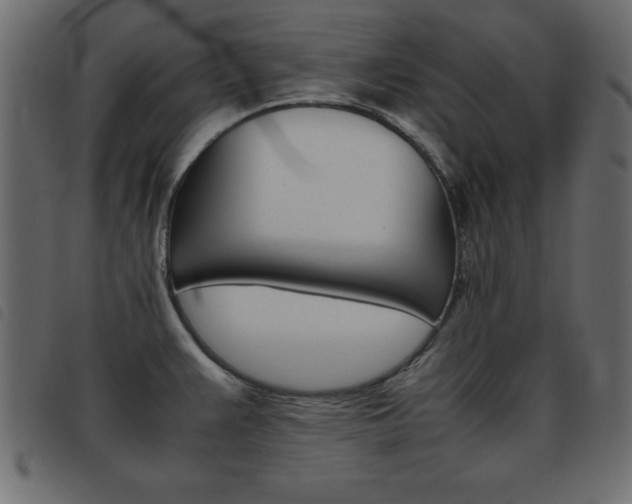 X0000093461383200710120941