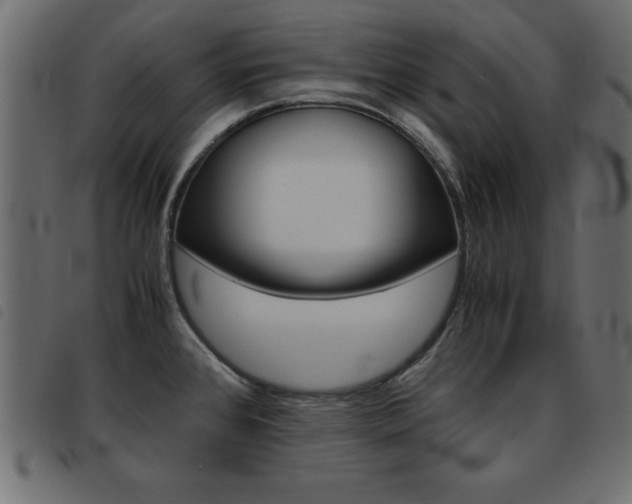 X0000093461384200710120941