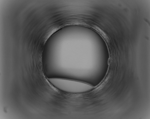 X0000093461385200710120941