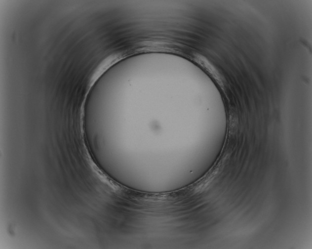 X0000093461386200710120941