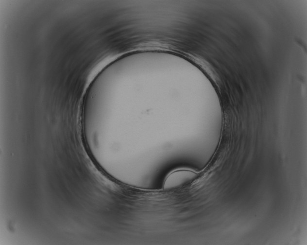 X0000093461387200710120941
