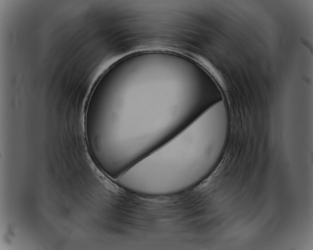 X0000093461388200710120941