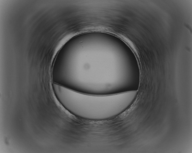 X0000093461389200710120941
