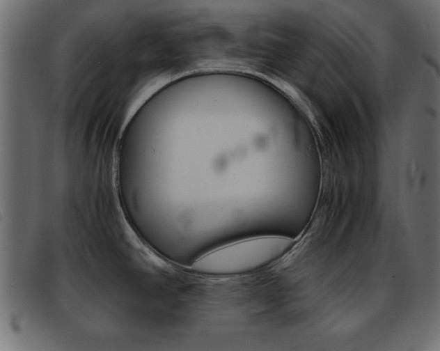 X0000093461390200710120940