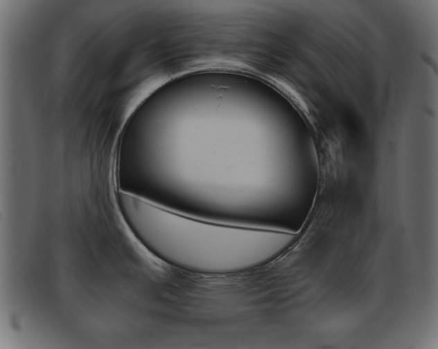 X0000093461391200710120940