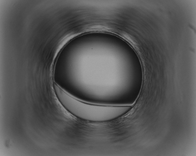 X0000093461392200710120940
