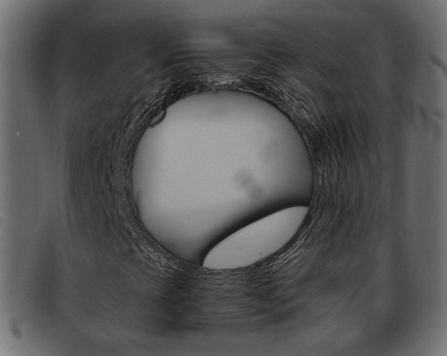 X0000093461393200710120940