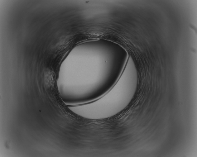 X0000093461394200710120940