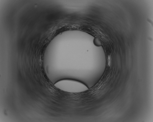 X0000093461395200710120940
