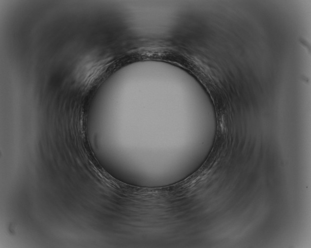X0000093461396200710120940