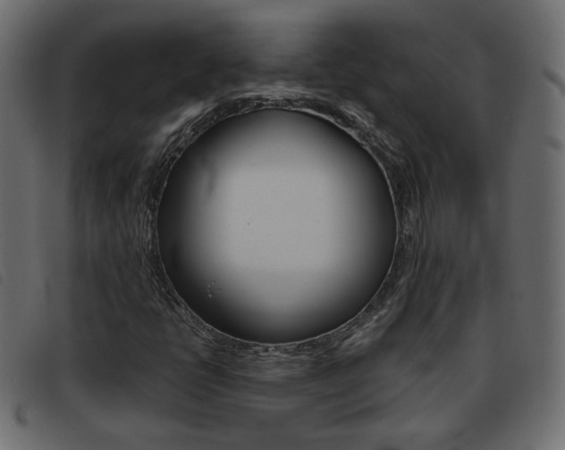 X0000093461398200710120940