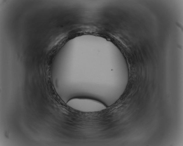 X0000093461399200710120940