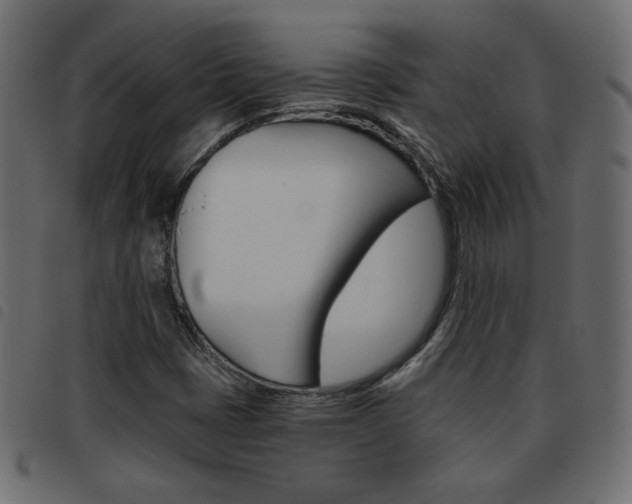 X0000093461401200710120940