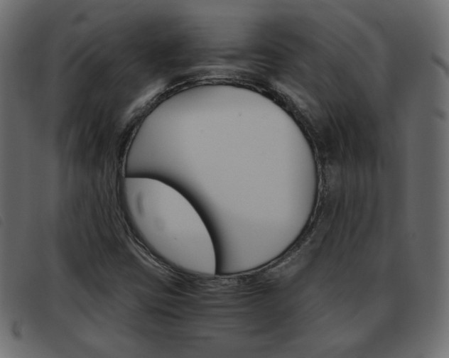 X0000093461403200710120940