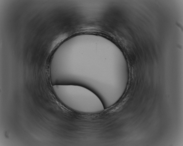X0000093461405200710120940