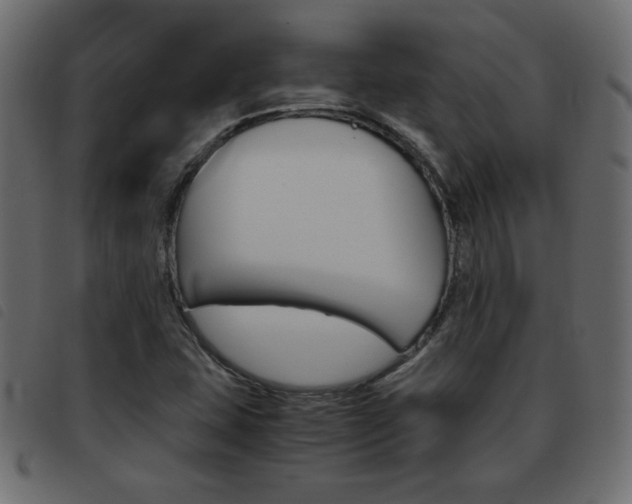 X0000093461407200710120940