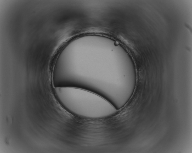 X0000093461408200710120940