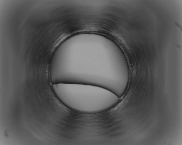 X0000093461409200710120940
