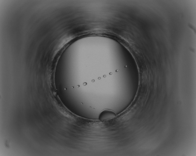 X0000093461410200710120940