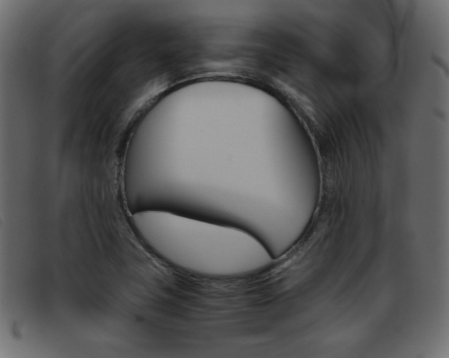 X0000093461411200710120940