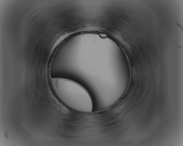X0000093461412200710120940