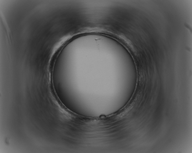X0000093461414200710120940