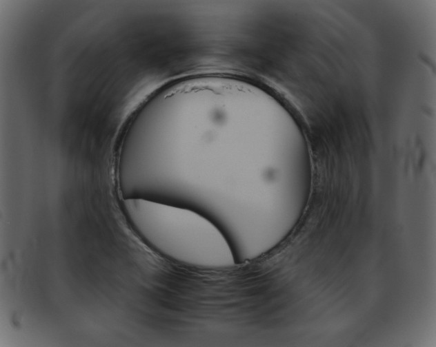 X0000093461415200710120940