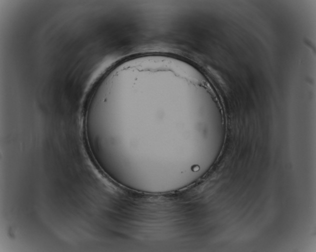 X0000093461416200710120940