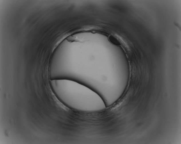 X0000093461417200710120940