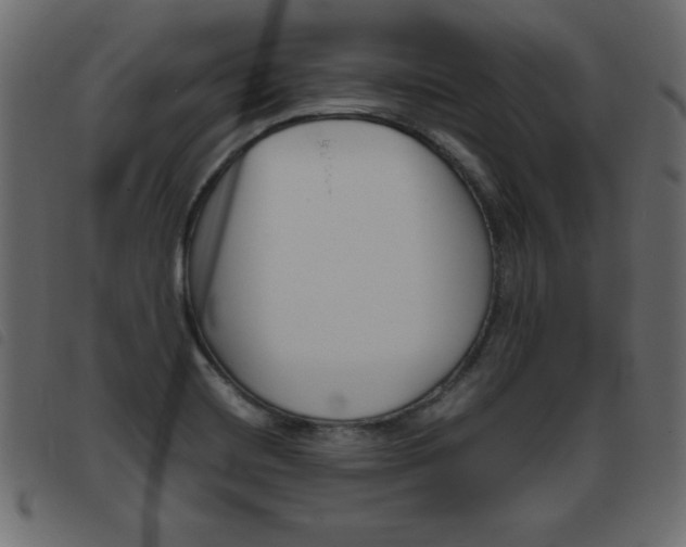 X0000093461420200710120940