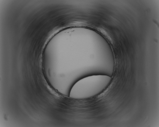X0000093461421200710120940