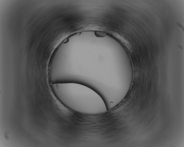 X0000093461423200710120940