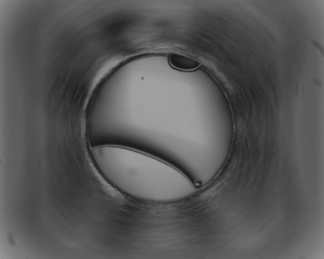 X0000093461424200710120940