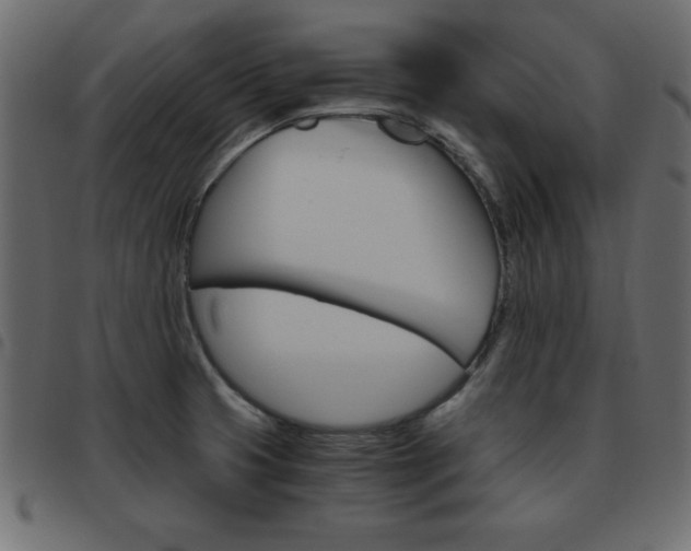 X0000093461425200710120940
