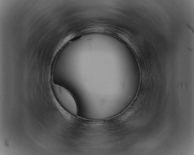 X0000093461426200710120940