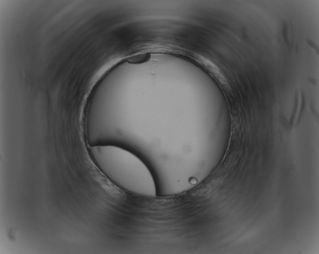 X0000093461427200710120940