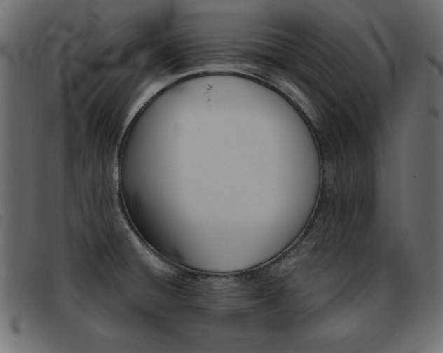 X0000093461428200710120940