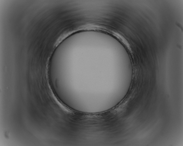 X0000093461429200710120940