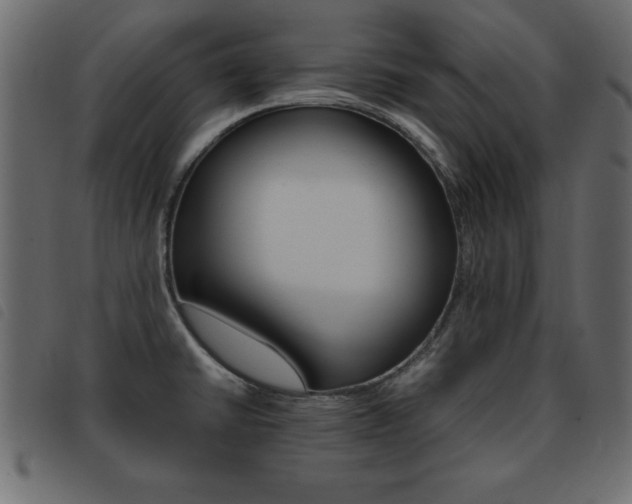 X0000093461430200710120940