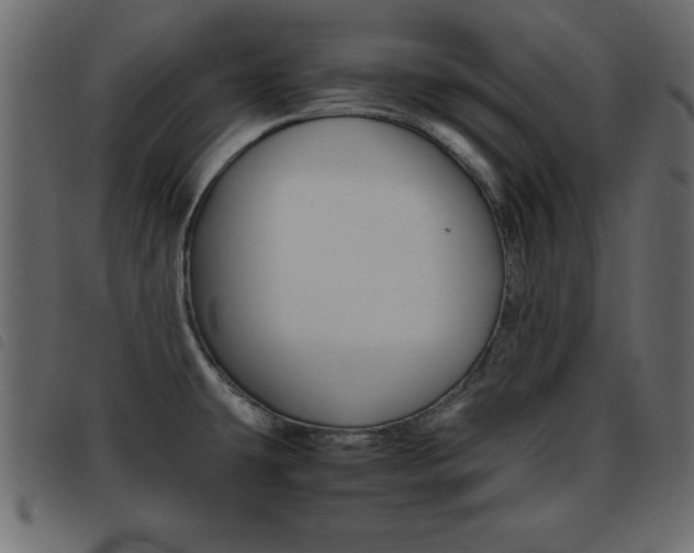 X0000093461431200710120940