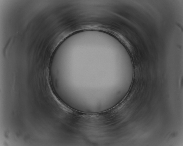 X0000093461432200710120940