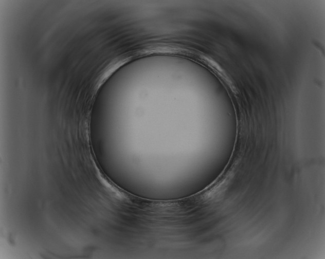 X0000093461433200710120940