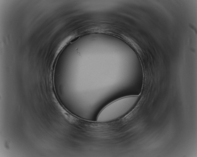 X0000093461434200710120940