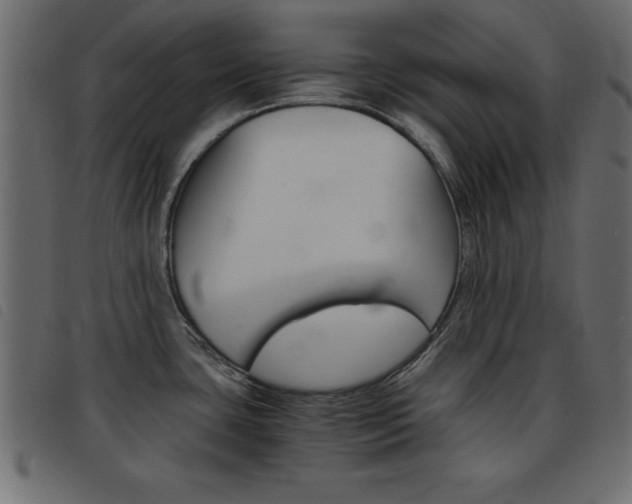 X0000093461435200710120940